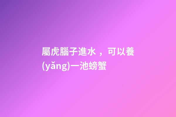 屬虎腦子進水，可以養(yǎng)一池螃蟹